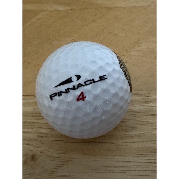 2004 PGA Championship Logo Golf Ball Whistling Straits - Picture 2 of 3